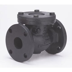 MILWAUKEE VALVE Milwaukee Valve 2974-M-200 F-2974M Horizontal Swing Check Valve, 2 in Nominal, Flanged End Style, 125 lb