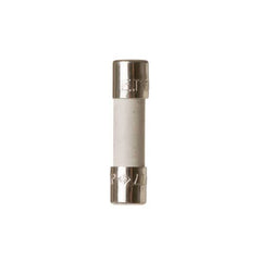GENERAL ELECTRIC WP23X10031 FUSES