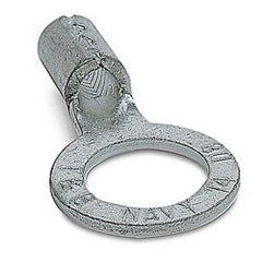 224665976.jpg