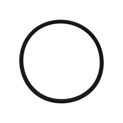 NEPTUNE BENSON Neptune Benson 1000-2439 Delta UV Body O-Ring