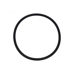 NEPTUNE BENSON Neptune Benson 1000-2439 Delta UV Body O-Ring