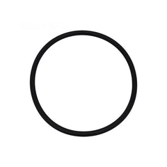 NEPTUNE BENSON Neptune Benson 1000-2439 Delta UV Body O-Ring