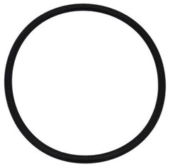 NEPTUNE BENSON Neptune Benson 1000-2439 Delta UV Body O-Ring