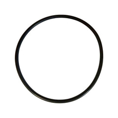 PENTAIR Pentair 071426Z Union O-Ring - Collar & Rotor, Clean & Clear Filters
