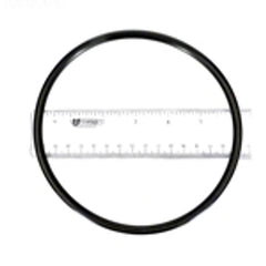 PENTAIR Pentair 071423Z O-Ring