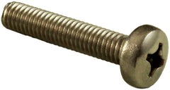 PENTAIR Pentair 152168Z Pentair M6 x 30mm Stainless Steel Phillips Head Screw