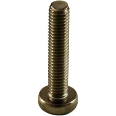 PENTAIR Pentair 152168Z Pentair M6 x 30mm Stainless Steel Phillips Head Screw