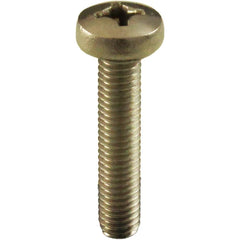 PENTAIR Pentair 152168Z Pentair M6 x 30mm Stainless Steel Phillips Head Screw