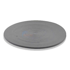 PENTAIR Pentair 154715Z PENTAIR 1.5 Sand Drain Gasket