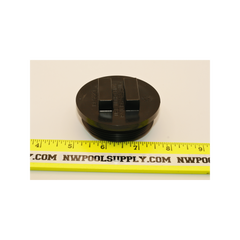 PENTAIR Pentair 195829Z 2-inch MPT Drain Plug