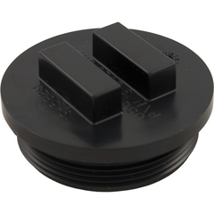 PENTAIR Pentair 195829Z 2-inch MPT Drain Plug