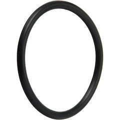 PENTAIR Pentair 191474Z Drain Plug O-Ring