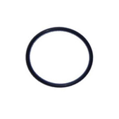 PENTAIR Pentair 191474Z Drain Plug O-Ring