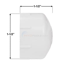 PENTAIR Pentair 154871Z 1.5 Threaded Drain Plug Cap