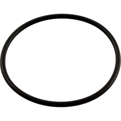 PENTAIR Pentair 192323Z 2-inch Skimmer Plug O-Ring