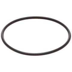 PENTAIR Pentair 192323Z 2-inch Skimmer Plug O-Ring