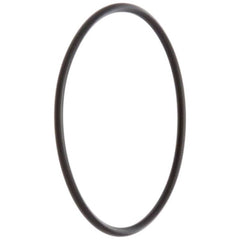PENTAIR Pentair 192323Z 2-inch Skimmer Plug O-Ring