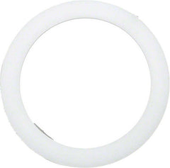 PENTAIR Pentair 195004Z Polyethylene Washer 3 inch Replacement Part