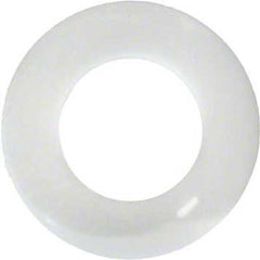 PENTAIR Pentair 272402Z Plastic Washer