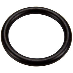 PENTAIR Pentair 273090Z Slide Valve Piston O-Ring