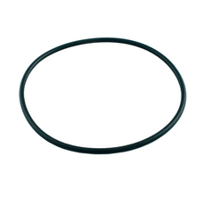 PENTAIR Pentair 354053Z Valve Top O-Ring