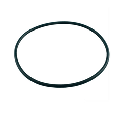 PENTAIR Pentair 354053Z Valve Top O-Ring