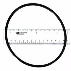 PENTAIR Pentair 354053Z Valve Top O-Ring