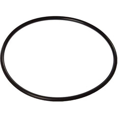 PENTAIR Pentair 354053Z Valve Top O-Ring