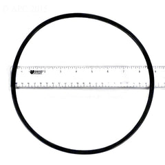 PENTAIR Pentair 351446Z Seal Plate O-Ring