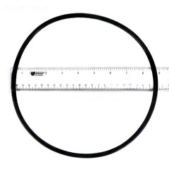 PENTAIR Pentair 351446Z Seal Plate O-Ring