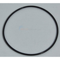 PENTAIR 275300Z O-RINGS & GASKETS