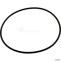 PENTAIR Pentair 275300Z O-Ring