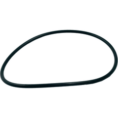PENTAIR Pentair 275333Z Valve Body O-Ring