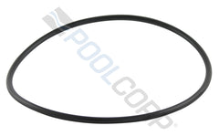 PENTAIR Pentair 275333Z Valve Body O-Ring