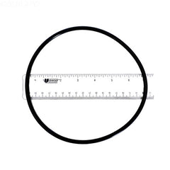 PENTAIR Pentair 275333Z Valve Body O-Ring
