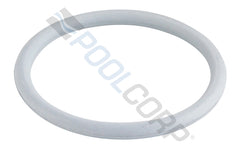 PENTAIR Pentair 274495Z O-Ring