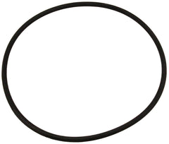 PENTAIR Pentair 356780Z Seal Plate O-Ring