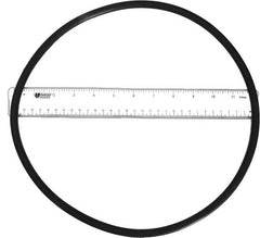 PENTAIR Pentair 356780Z Seal Plate O-Ring