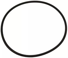 PENTAIR Pentair 356780Z Seal Plate O-Ring
