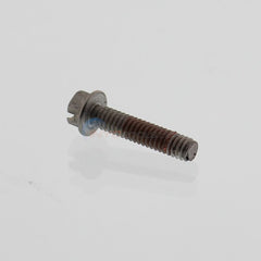 PENTAIR Pentair 355389Z Impeller Locking Screw