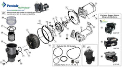 PENTAIR Pentair 355495Z Challenger Pump Mounting Plate - 5 HP