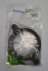 PENTAIR 357239Z PIPE FITTINGS