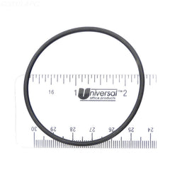 ALADDIN EQUIPMENT Aladdin Equipment O-213 Skimmer Basket O-Ring