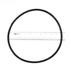 ALADDIN EQUIPMENT Aladdin Equipment O-443 Sta-Rite/Aladdin U9301 Lid O-Ring