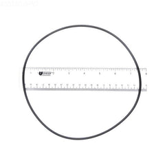 ALADDIN EQUIPMENT Aladdin Equipment O-242 O-Ring for Swimquip