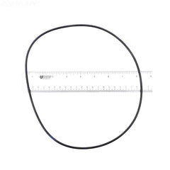 ALADDIN EQUIPMENT Aladdin Equipment O-393 Filter Lid O-Ring