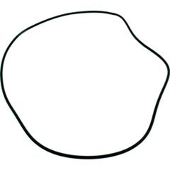 ALADDIN EQUIPMENT Aladdin Equipment O-93 Starite/Pentair Sandpiper 24 Tank O-Ring