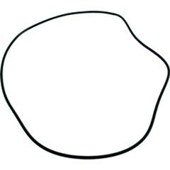 ALADDIN EQUIPMENT Aladdin Equipment O-93 Starite/Pentair Sandpiper 24 Tank O-Ring