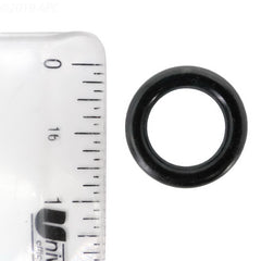 225198965.jpg