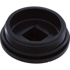 CARVIN POOL EQUIPMENT Carvin Pool Equipment 43309202R 2-inch Plug with Gasket/O-Ring